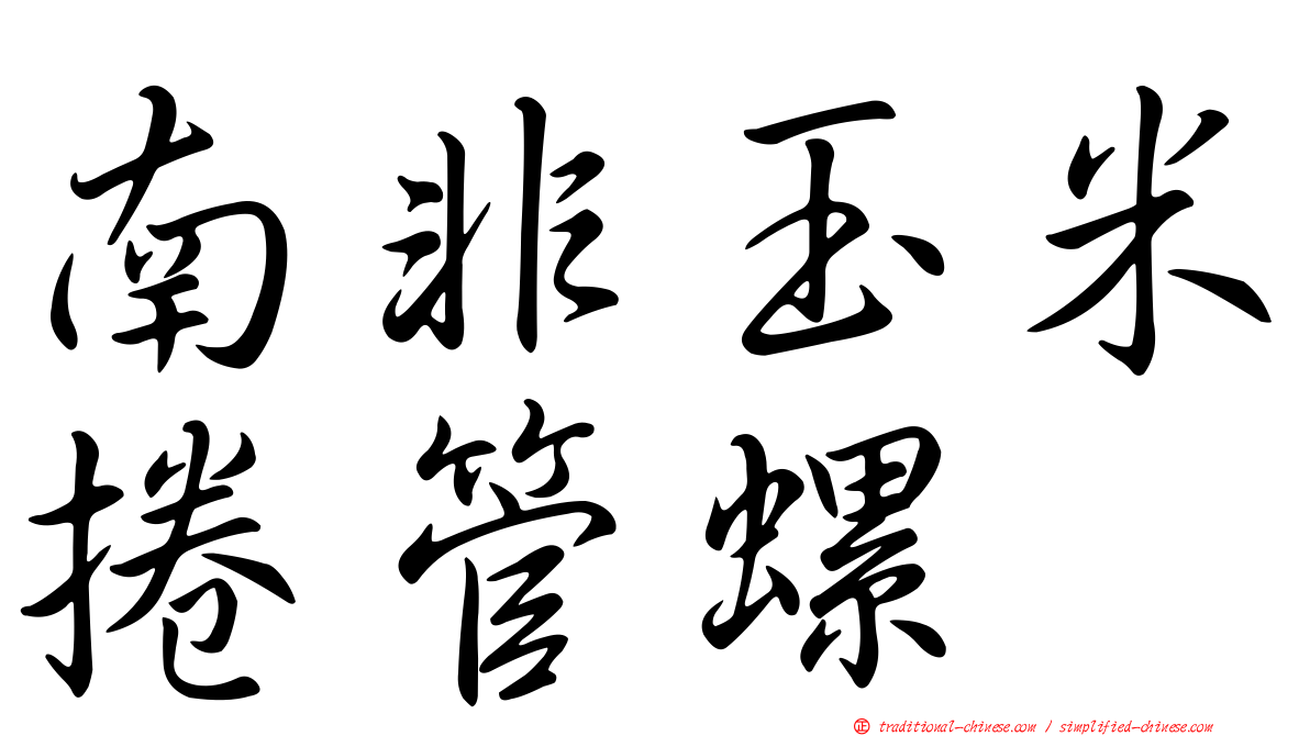 南非玉米捲管螺