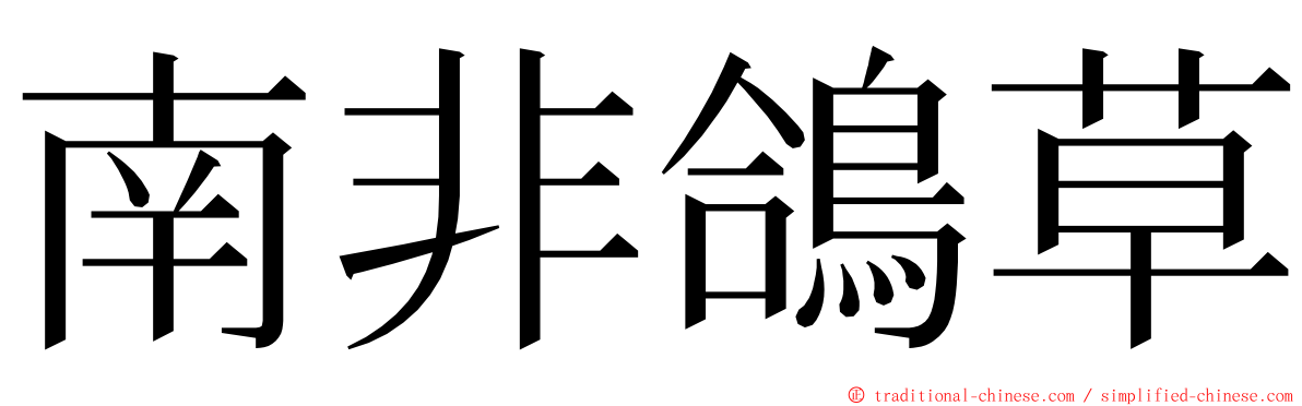 南非鴿草 ming font