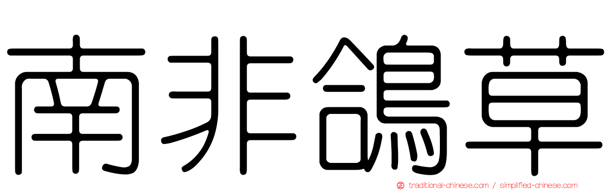 南非鴿草