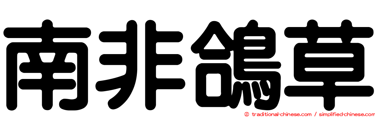 南非鴿草