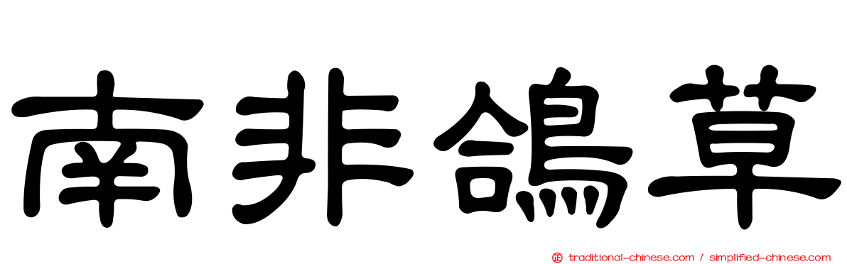 南非鴿草