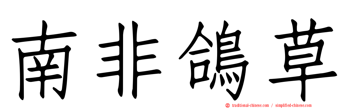 南非鴿草