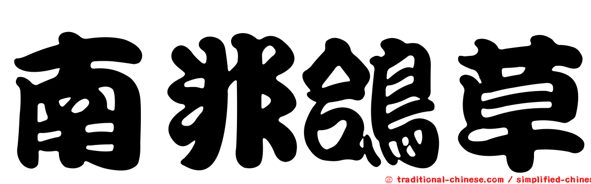 南非鴿草