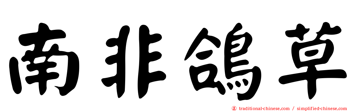 南非鴿草