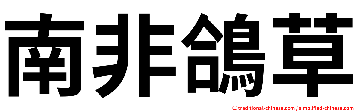 南非鴿草