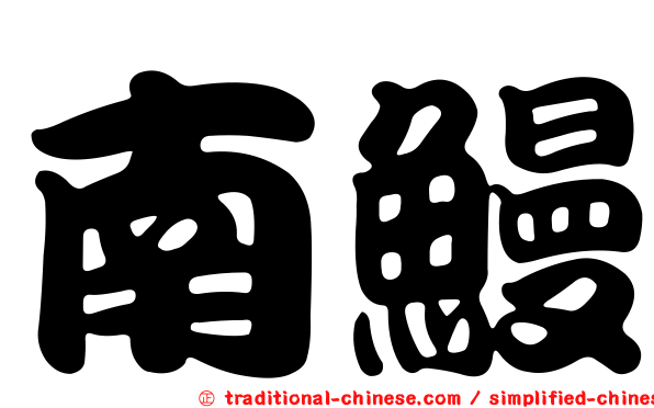南鰻