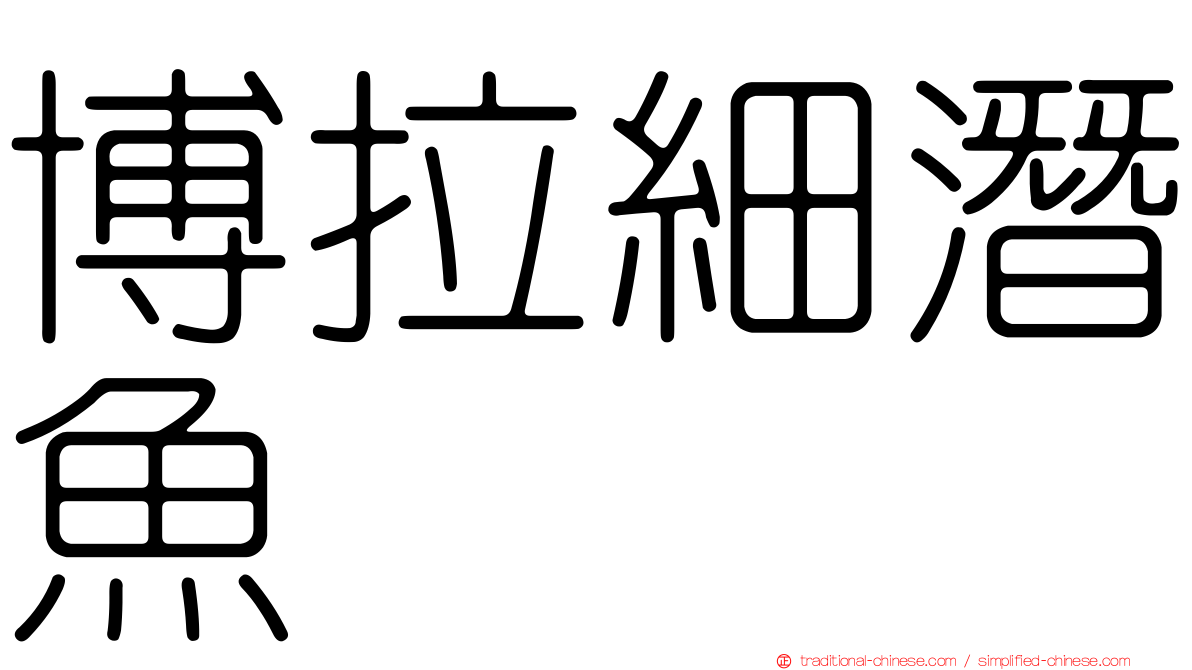 博拉細潛魚