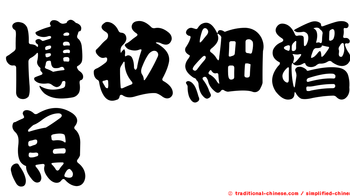 博拉細潛魚