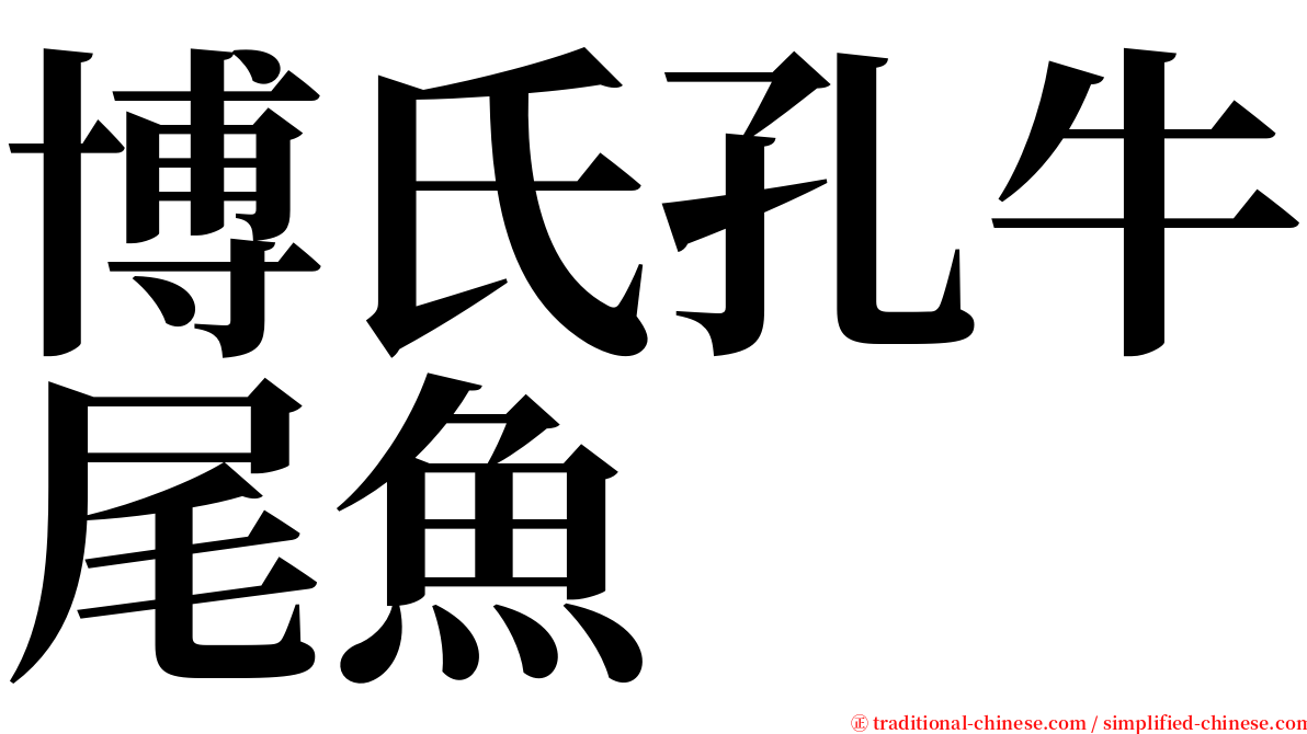 博氏孔牛尾魚 serif font