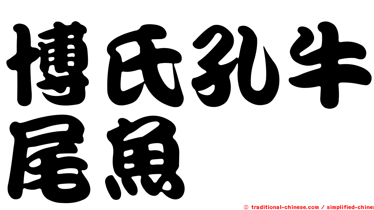 博氏孔牛尾魚