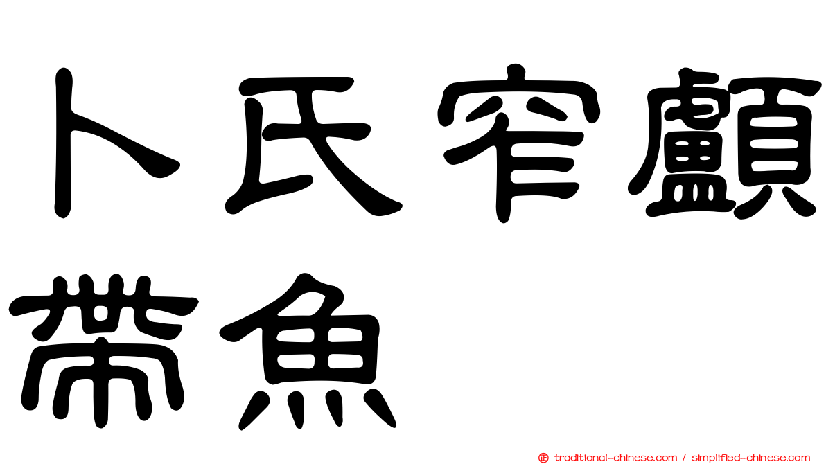 卜氏窄顱帶魚