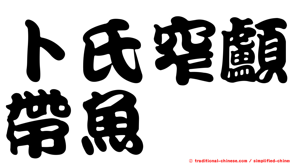 卜氏窄顱帶魚