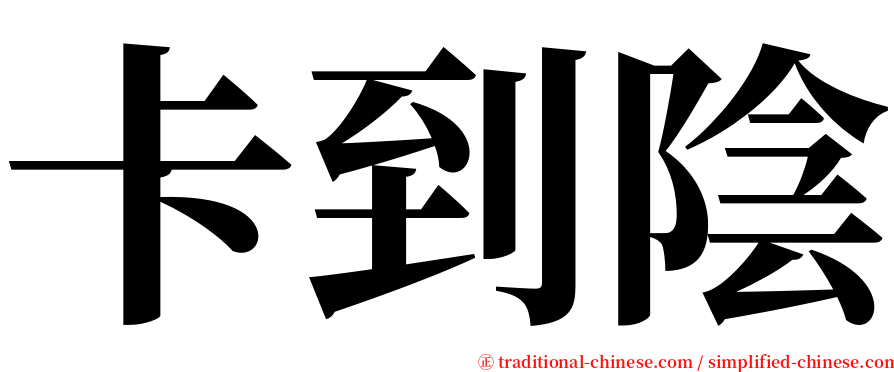 卡到陰 serif font