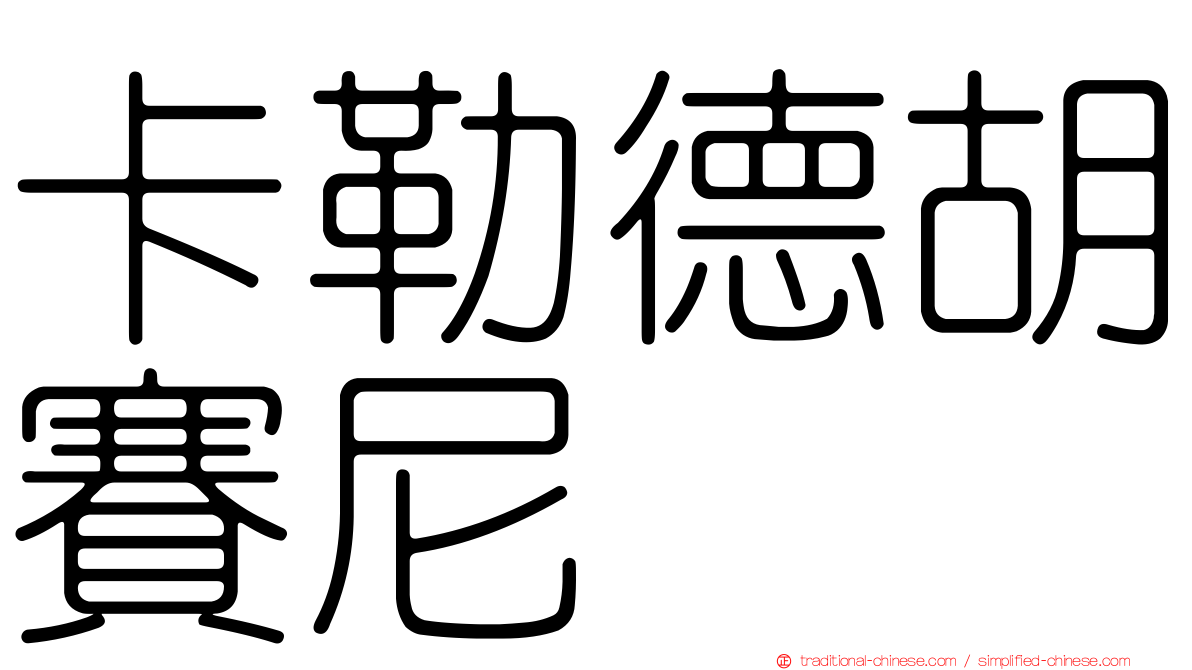 卡勒德胡賽尼