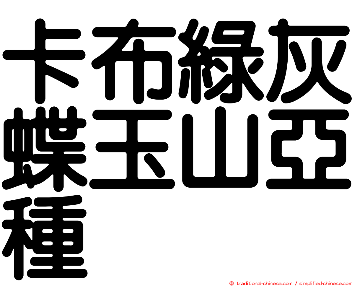 卡布綠灰蝶玉山亞種