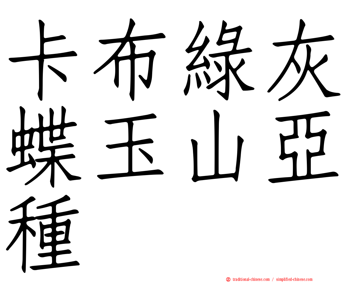 卡布綠灰蝶玉山亞種