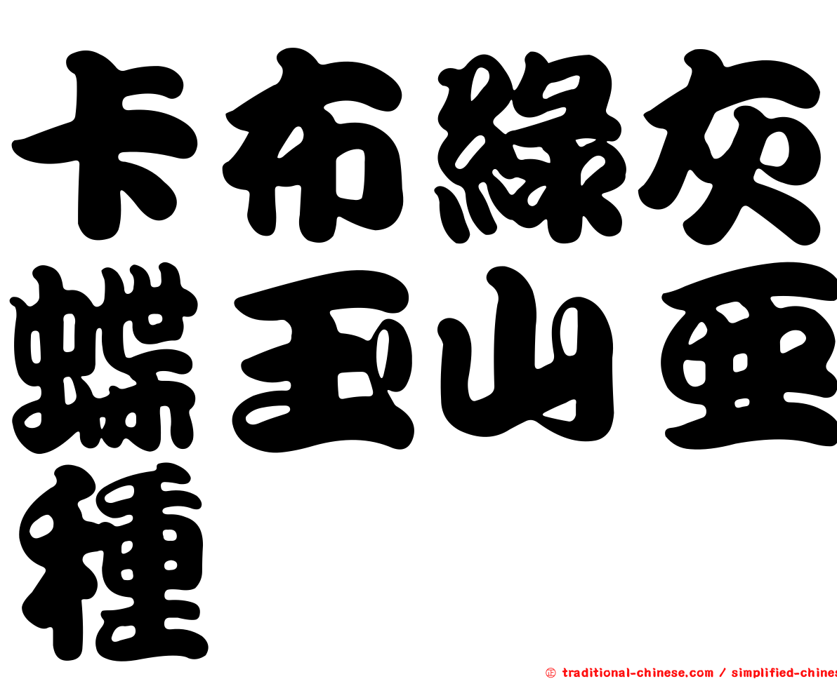 卡布綠灰蝶玉山亞種