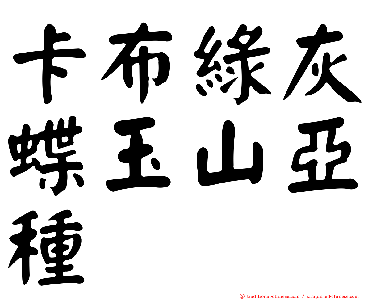 卡布綠灰蝶玉山亞種