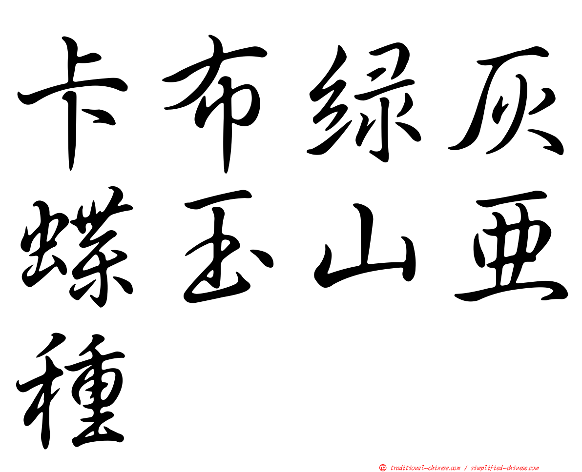 卡布綠灰蝶玉山亞種