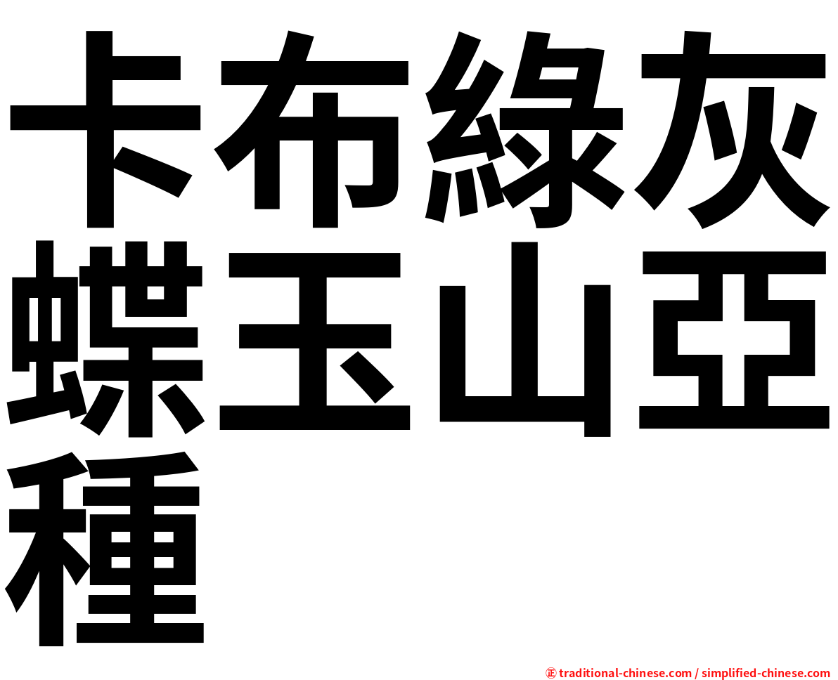 卡布綠灰蝶玉山亞種