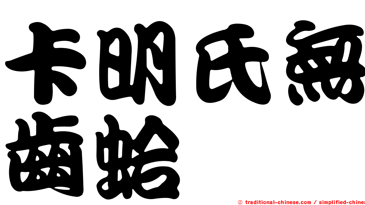 卡明氏無齒蛤