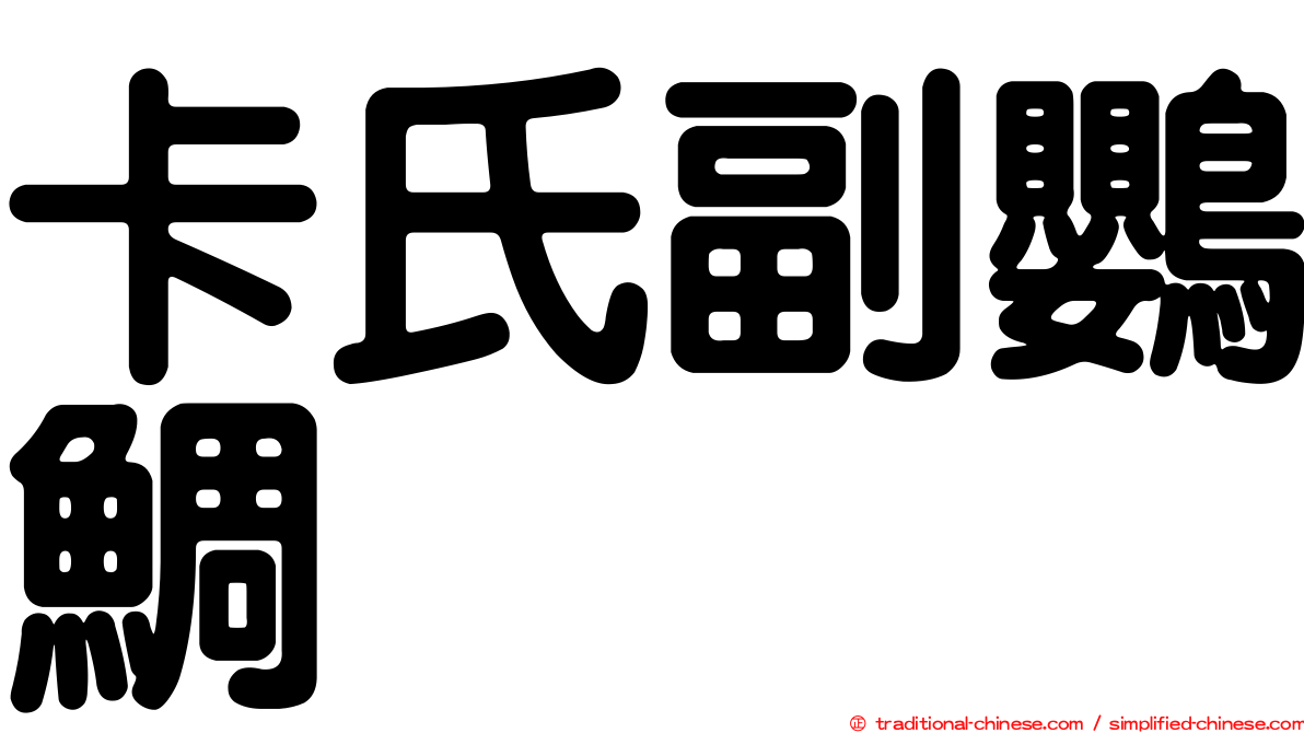 卡氏副鸚鯛