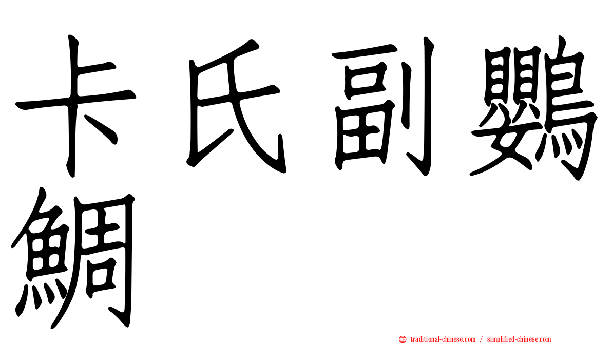卡氏副鸚鯛