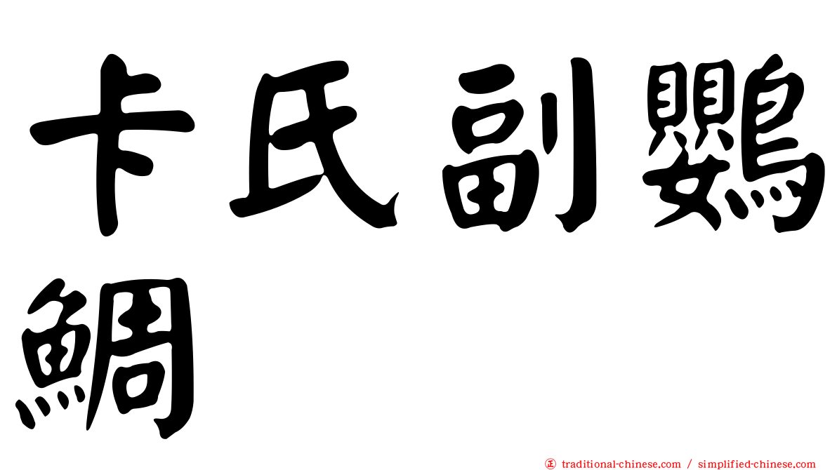 卡氏副鸚鯛