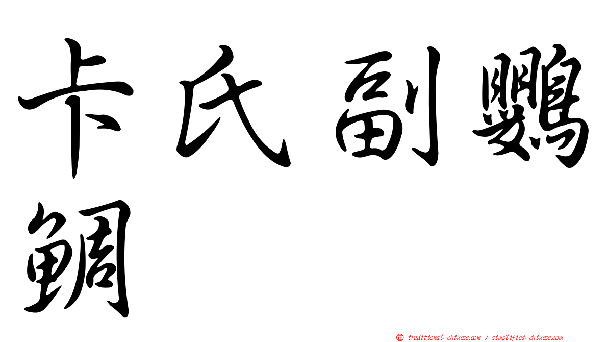 卡氏副鸚鯛