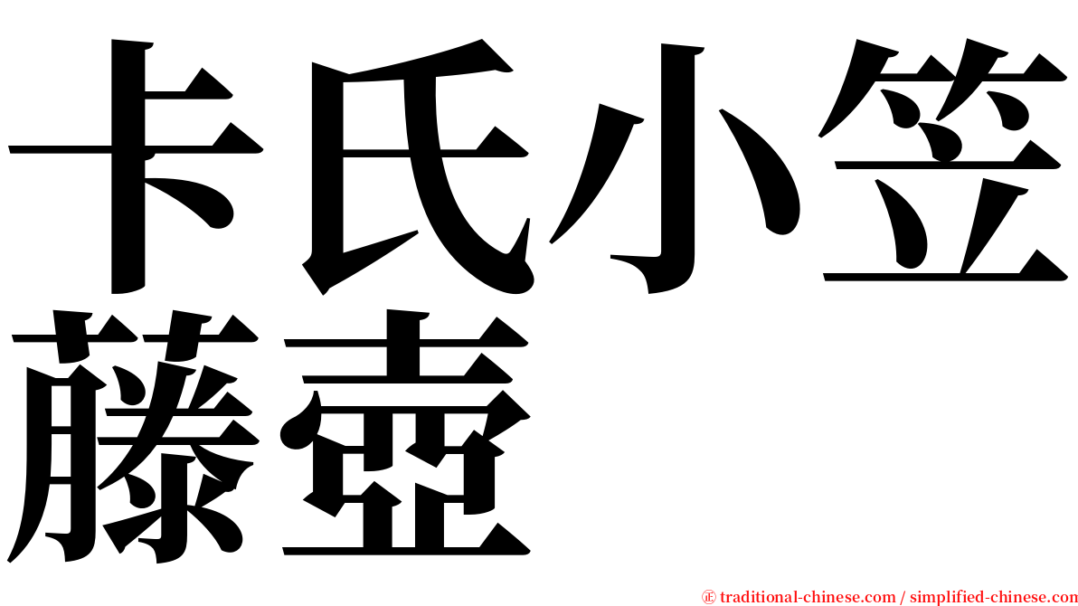 卡氏小笠藤壺 serif font
