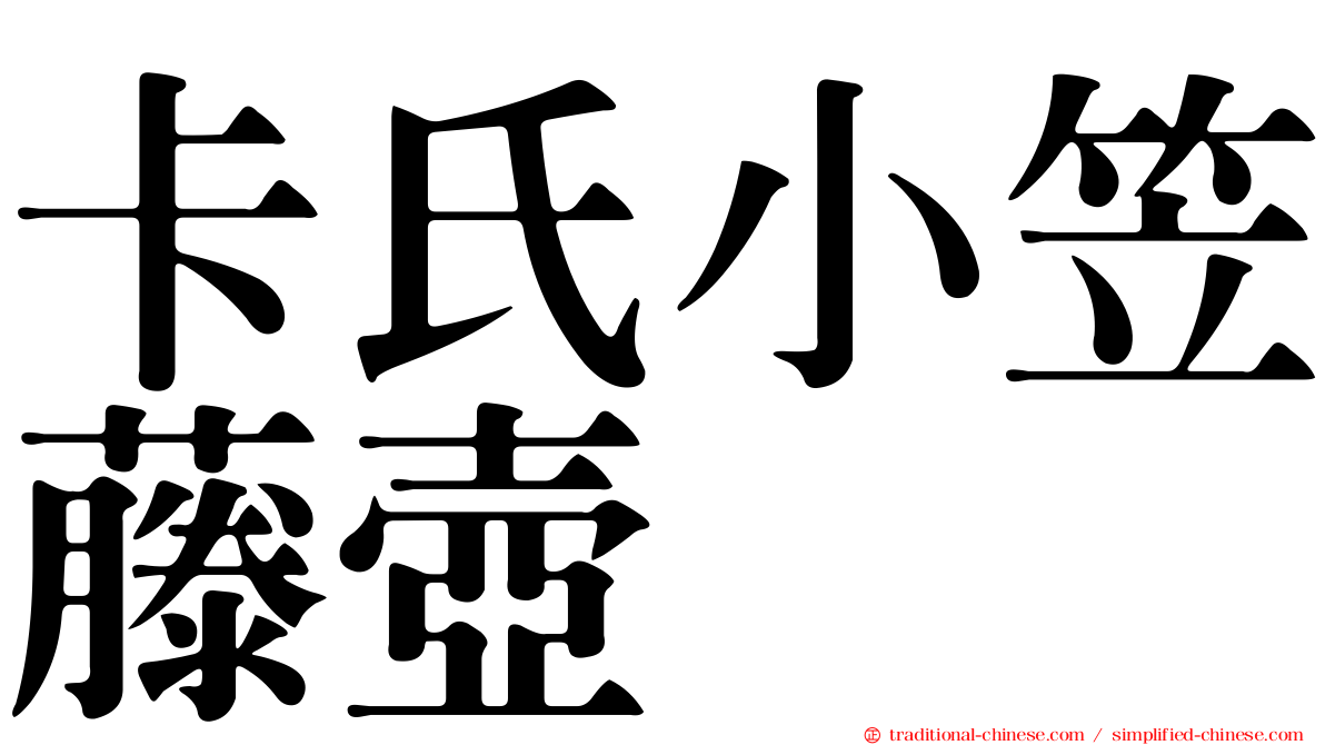 卡氏小笠藤壺