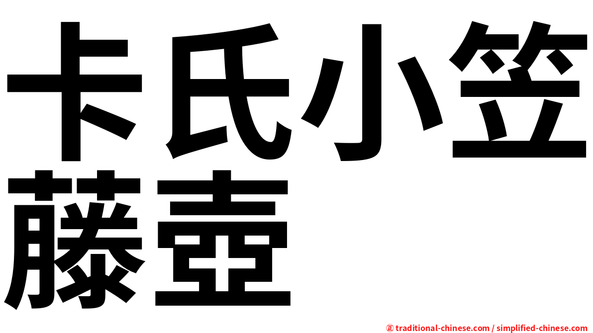 卡氏小笠藤壺