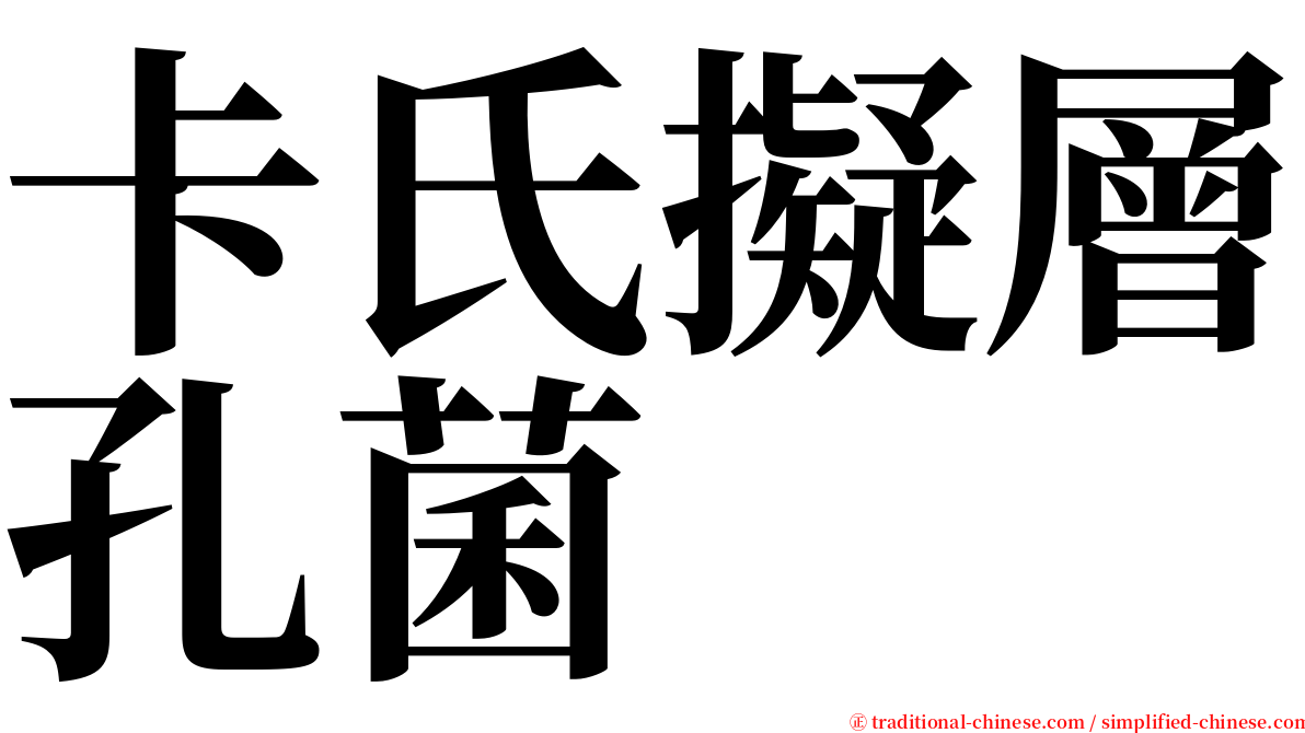 卡氏擬層孔菌 serif font