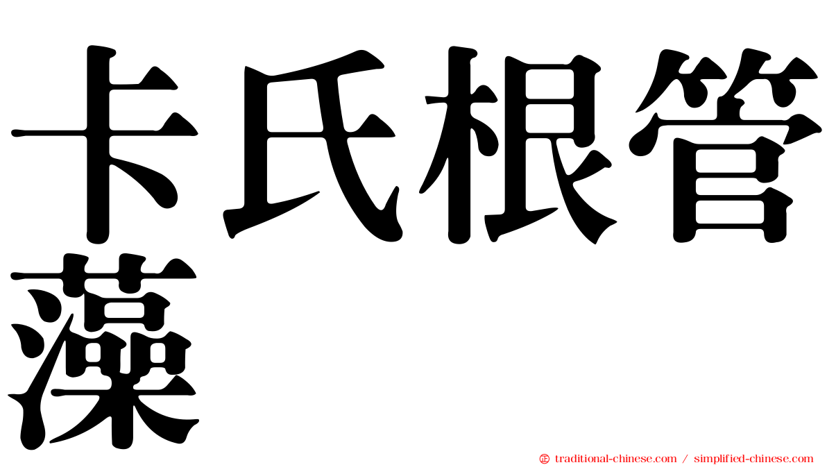 卡氏根管藻