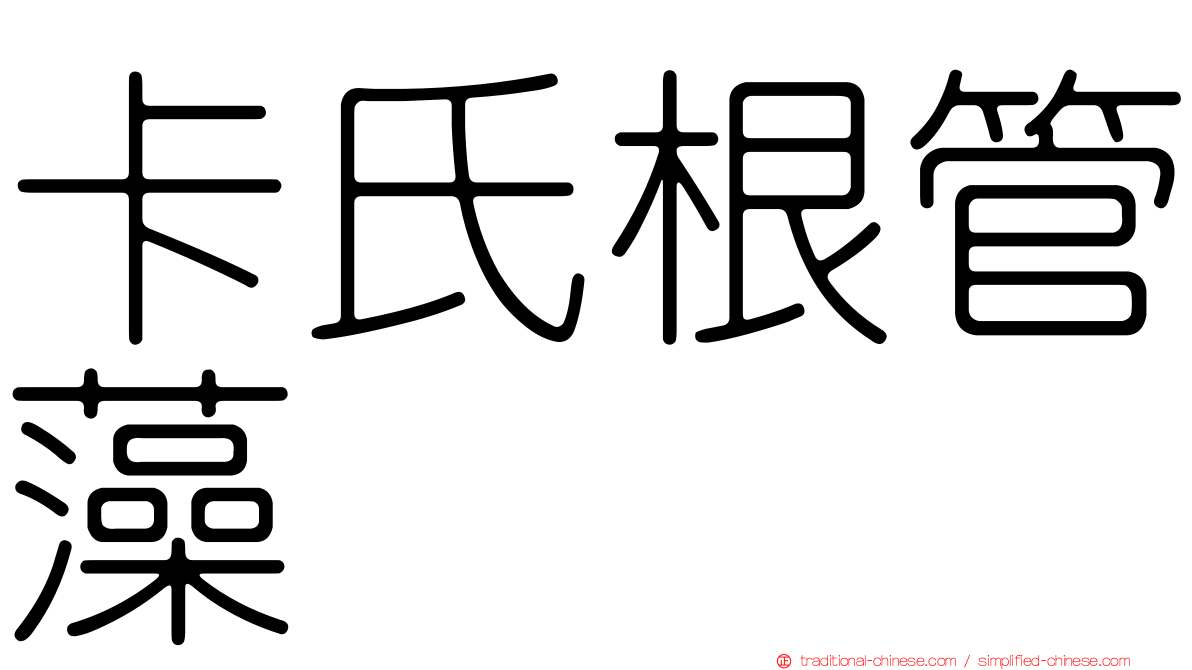 卡氏根管藻