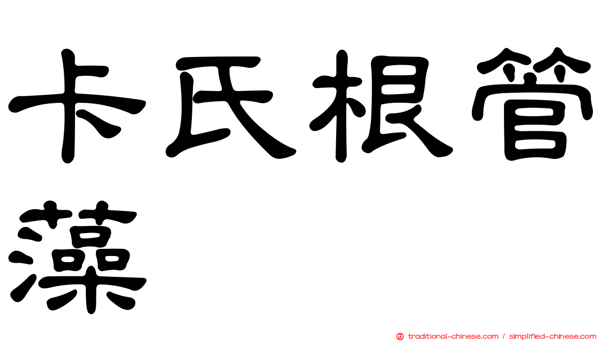 卡氏根管藻