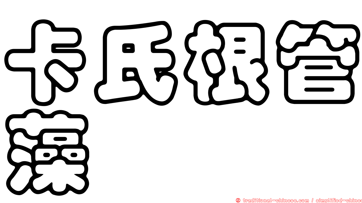 卡氏根管藻
