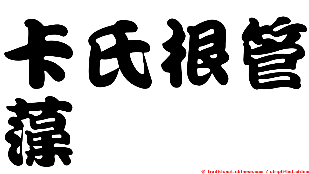 卡氏根管藻