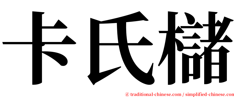 卡氏櫧 serif font
