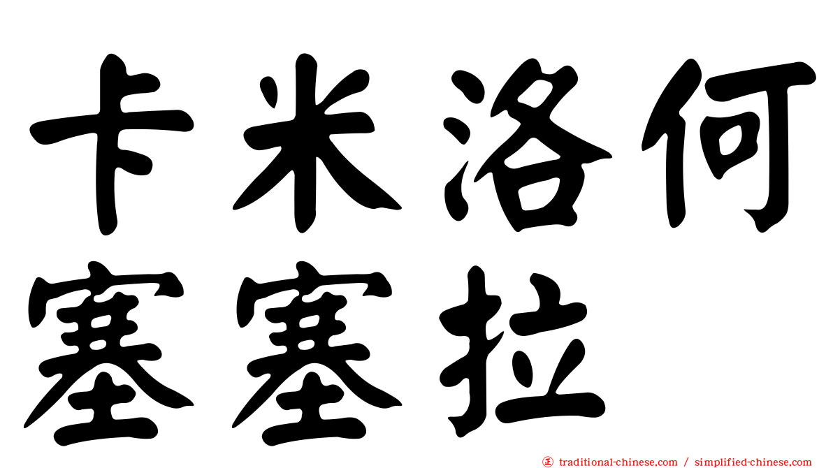 卡米洛何塞塞拉