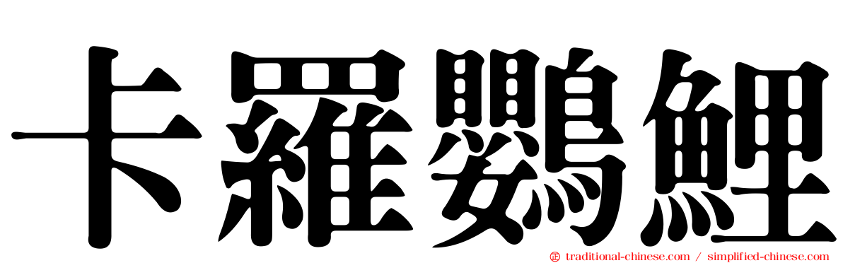 卡羅鸚鯉
