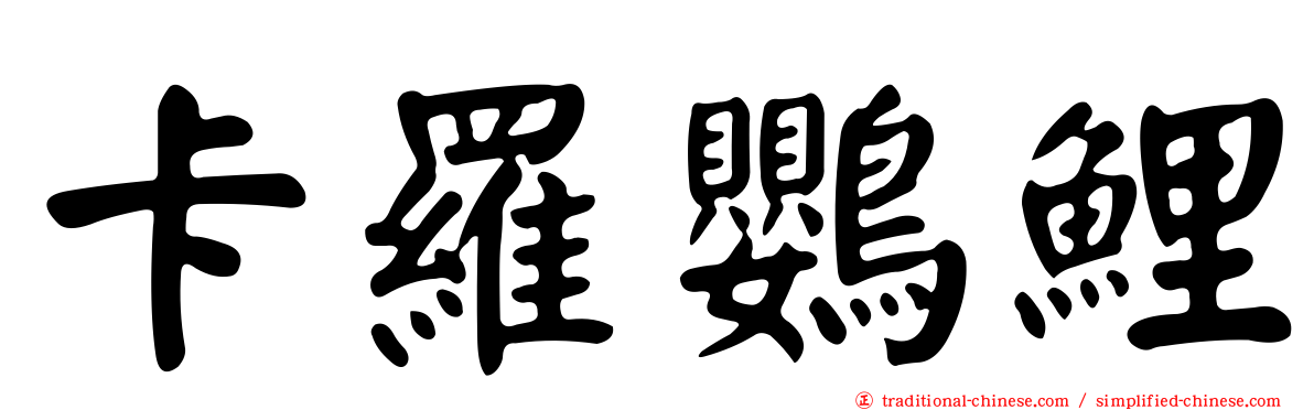 卡羅鸚鯉