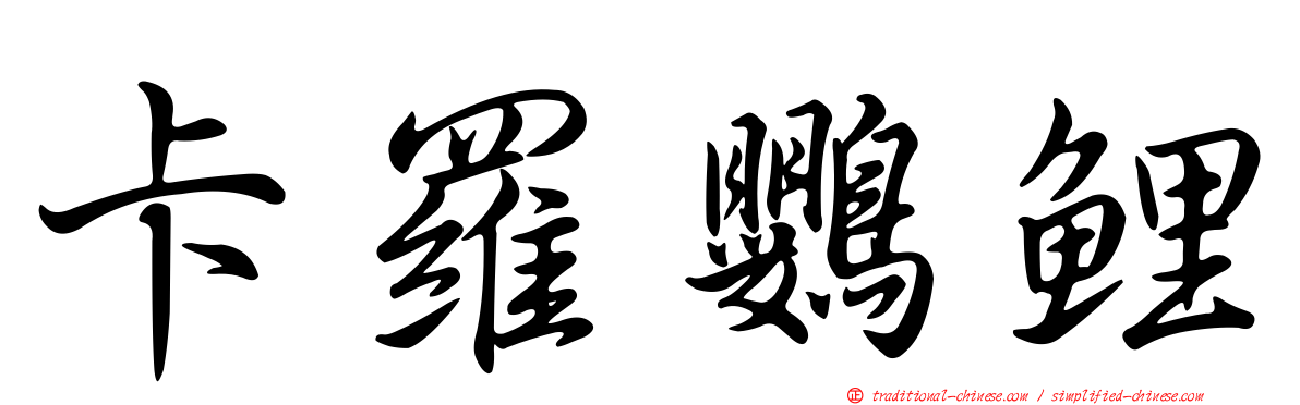 卡羅鸚鯉