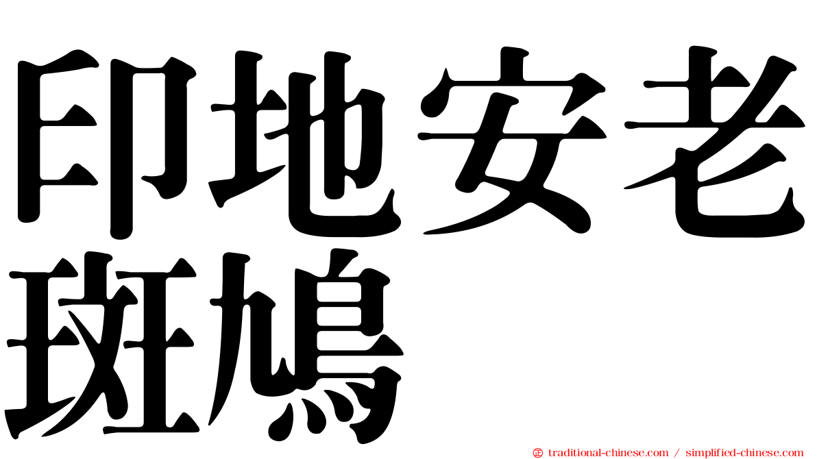 印地安老斑鳩