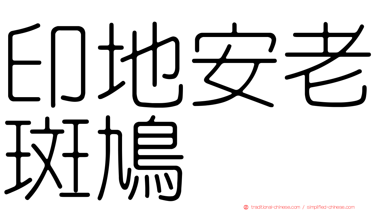 印地安老斑鳩