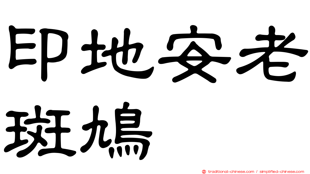 印地安老斑鳩