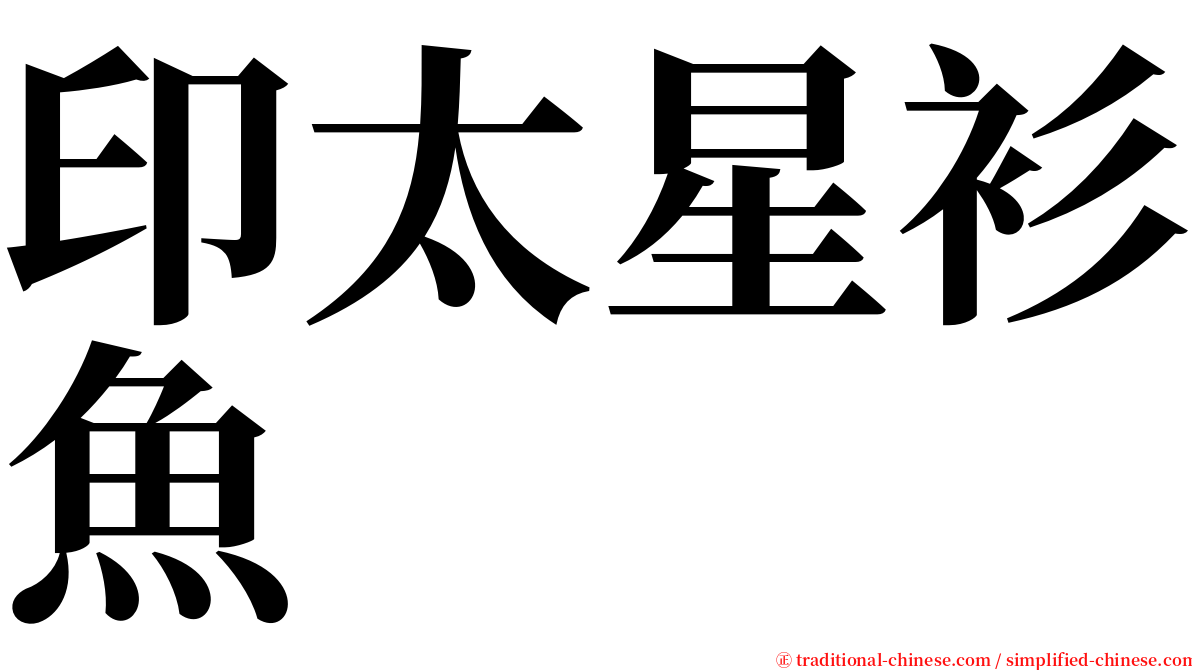 印太星衫魚 serif font