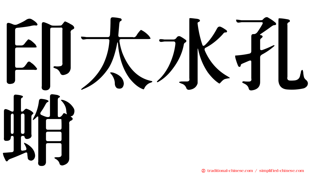 印太水孔蛸