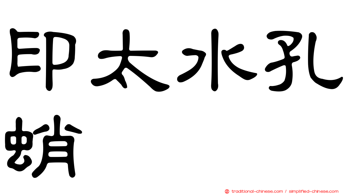 印太水孔蛸