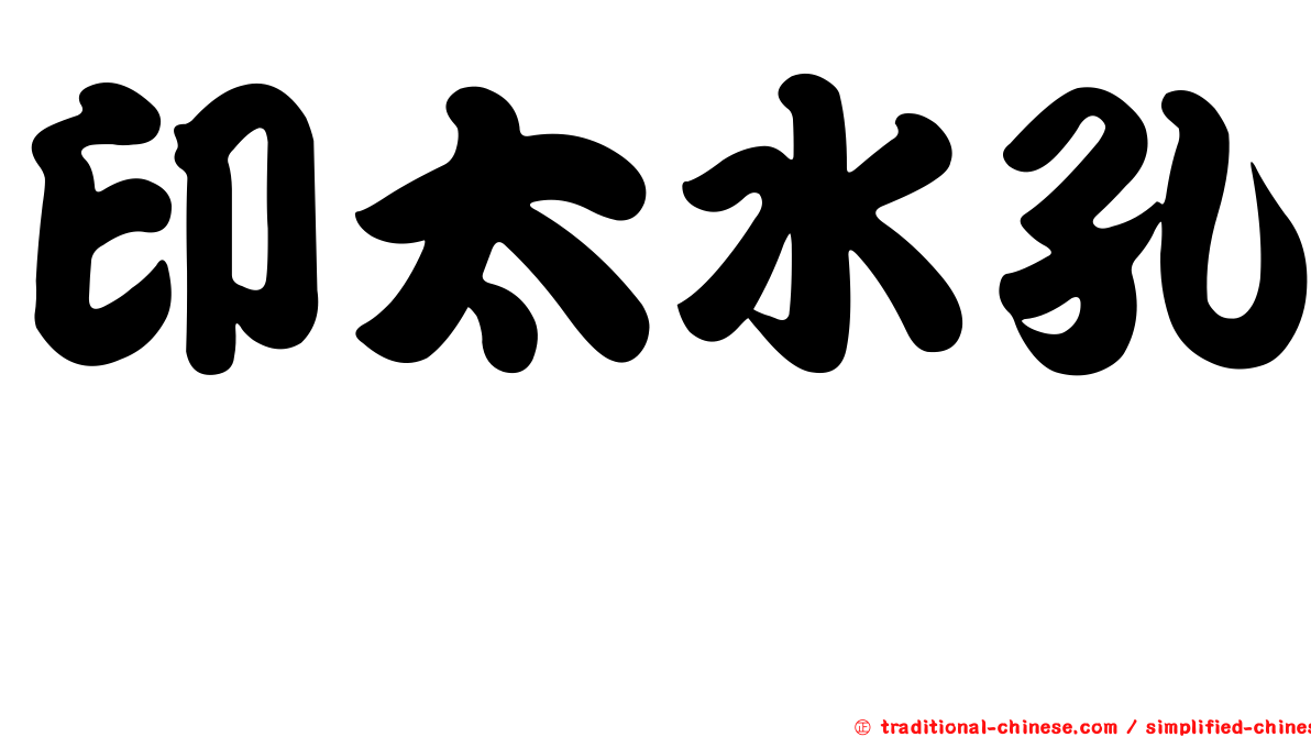 印太水孔蛸